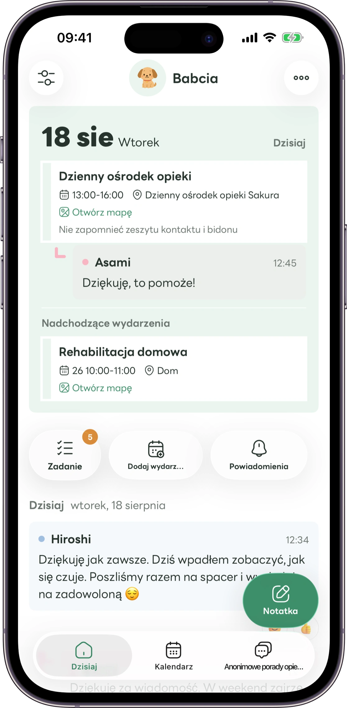 Makieta ekranu głównego Carez