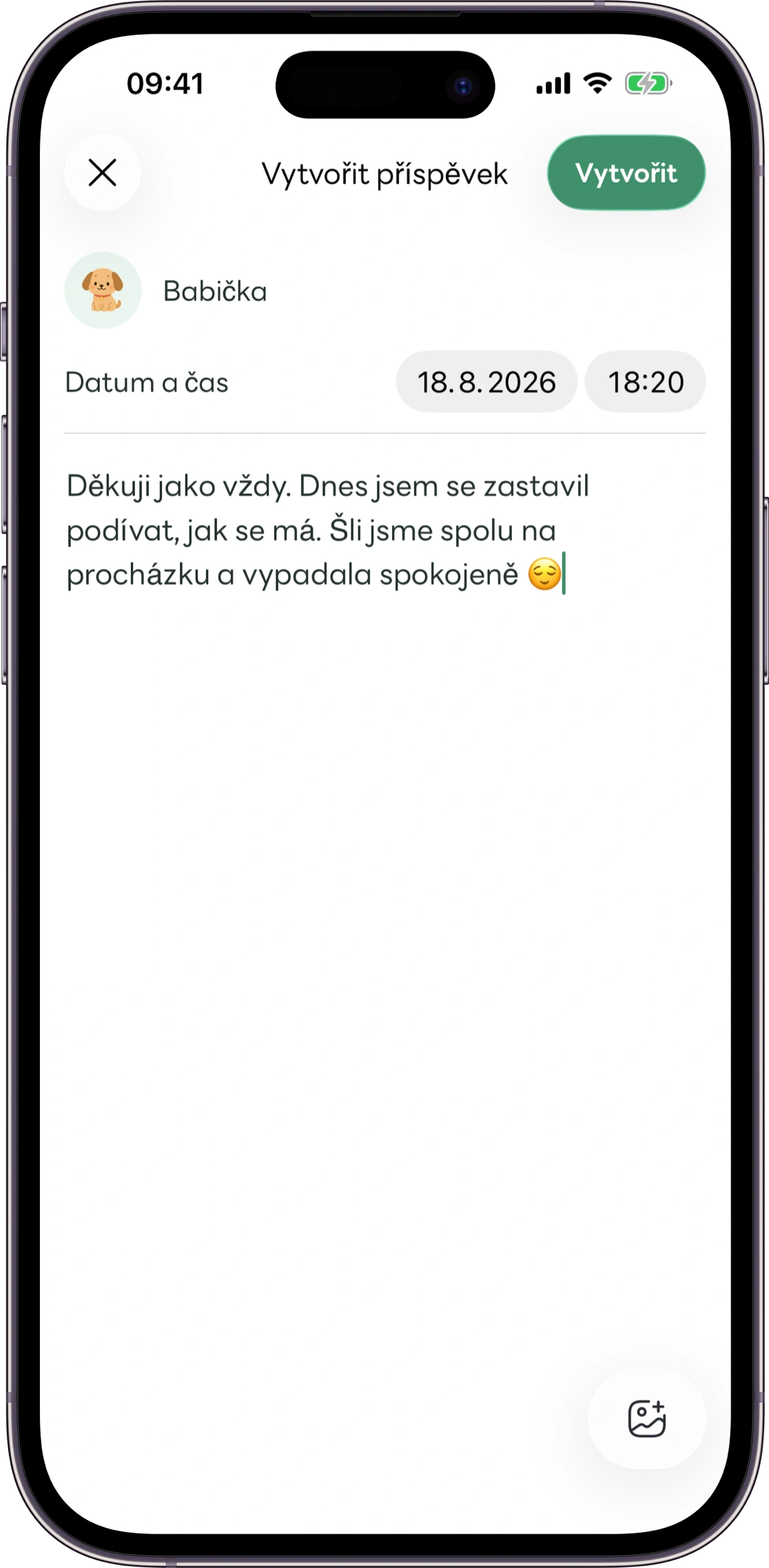 Ukázka obrazovky záznamů o péči v Carezu